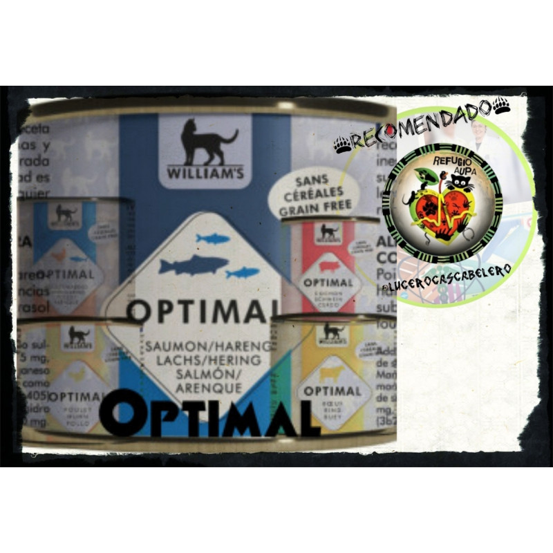 Optimal húmedo gato