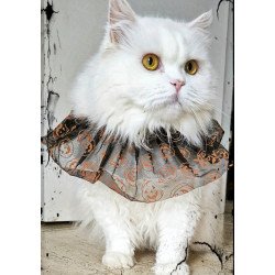 Donación Preferente Premium VIP