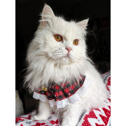 Puffy (Rey Peluche)
