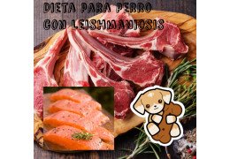 Dieta para perro con Leishmania