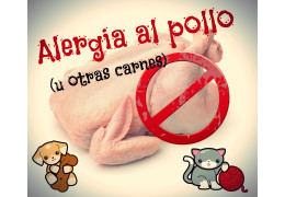 Alergia o intolerancia al pollo